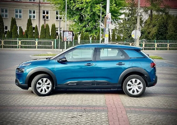 Citroen C4 Cactus cena 49815 przebieg: 55000, rok produkcji 2018 z Białogard małe 277